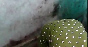 leng rin sex Một phụ nữ trẻ fucks trong ass sex mỹ đen với một ông già.